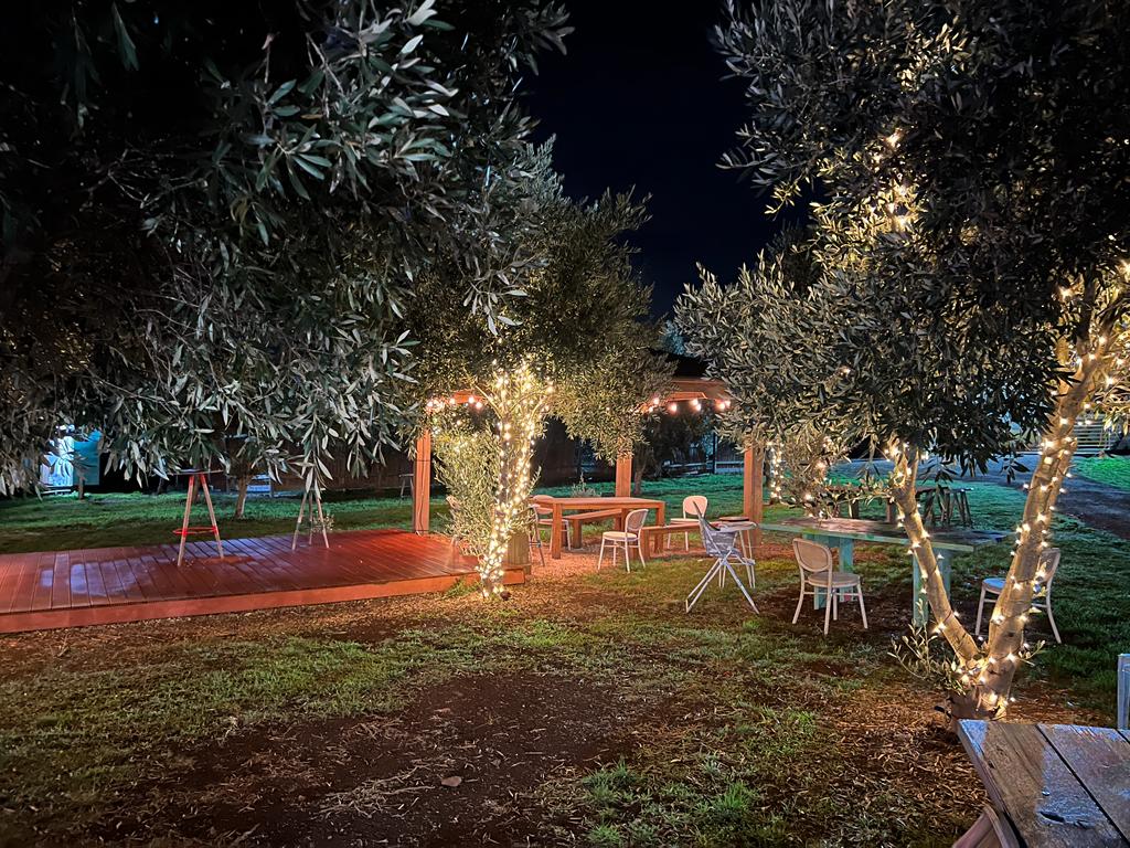oliveGroove area