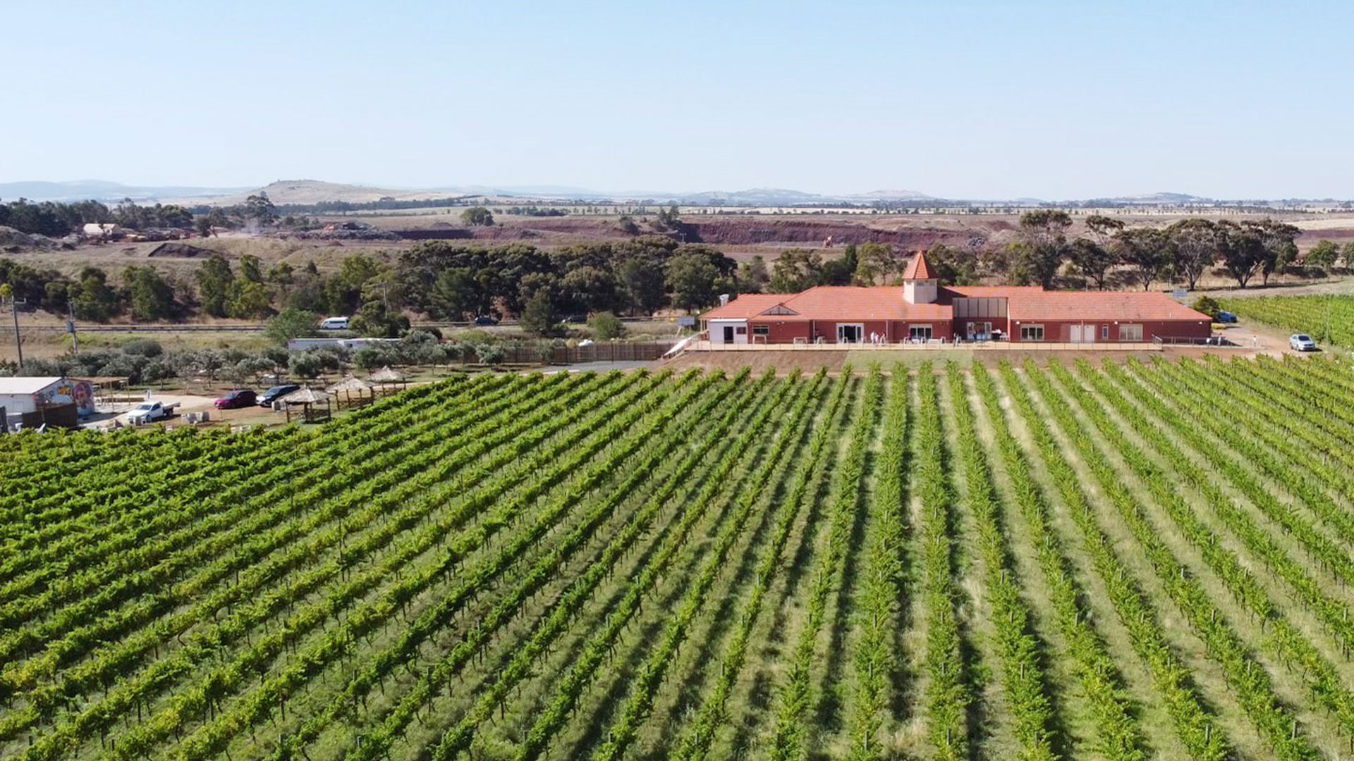Taphouse nestled between the olive trees and lush vineyard